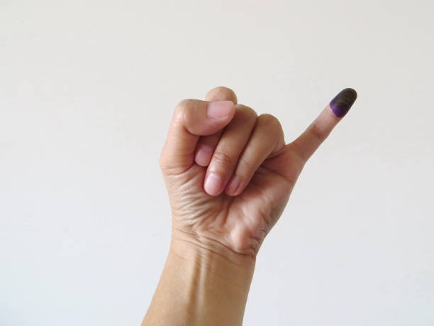 Inked pinky finger of a woman's hand. Purple ink blots from voter's finger provides evidence of the governor election (pilkada) in Jakarta, Indonesia. chocolate fingers stock pictures, royalty-free photos & images