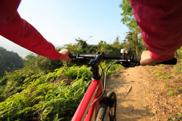 istock cyclist hands riding mountain bike on forest trail 667712440