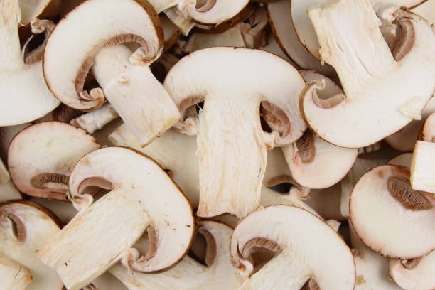 istock fresh mushroom slices food background texture 667719812