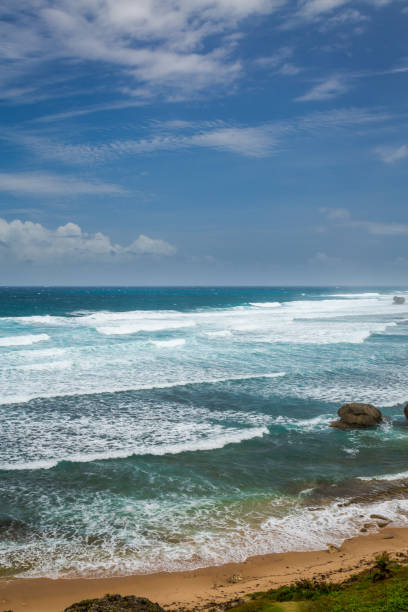istock Bathsheba Rock, View to the Beach and Natural Park 667723814