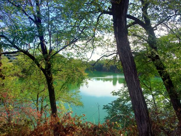 istock view of a lake 667726618