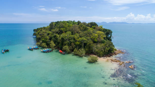 istock Tropical Island from above, drone shot 667730898