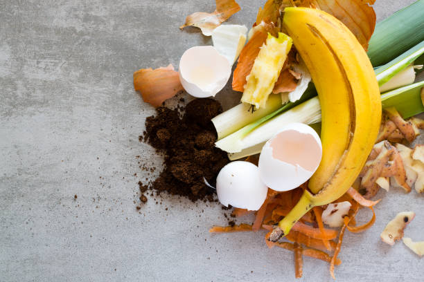 organic waste to make compost - rotting banana vegetable fruit imagens e fotografias de stock