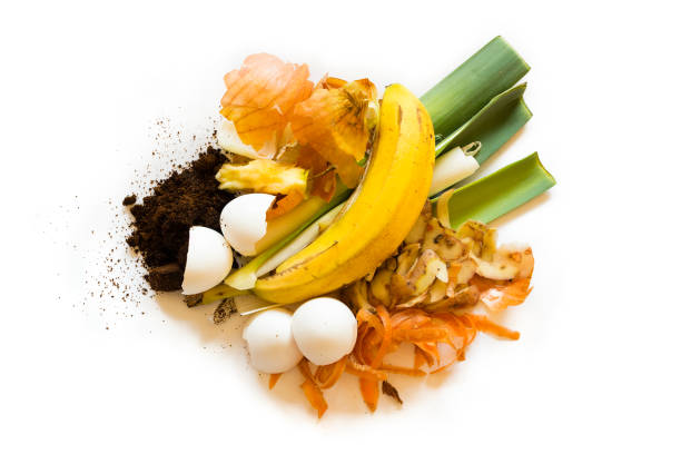 organic waste to make compost - rotting banana vegetable fruit imagens e fotografias de stock