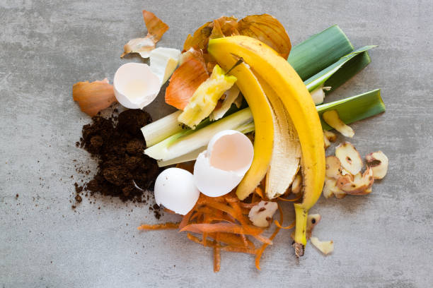 organic waste to make compost - rotting banana vegetable fruit imagens e fotografias de stock