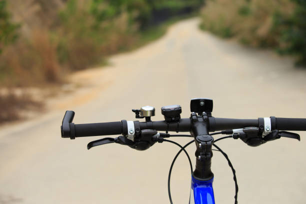 istock riding mountain bike on forest trail 667734928