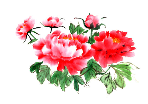 istock The traditional ancient Chinese hand - painted peony flowers 667736590