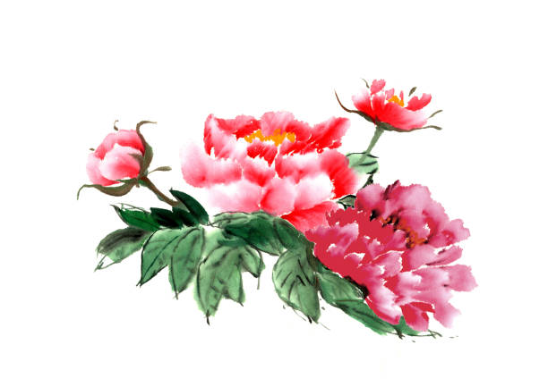 istock The traditional ancient Chinese hand - painted peony flowers 667737702
