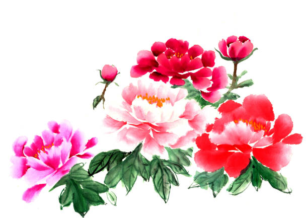 istock The traditional ancient Chinese hand - painted peony flowers 667737760