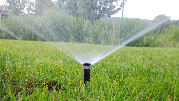 istock sprinkler of automatic watering 667767630