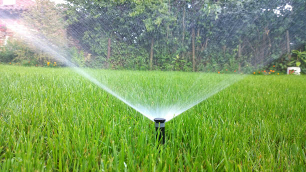 istock sprinkler of automatic watering 667767642