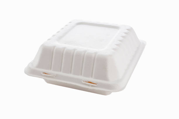 istock Reusable container to carry away 667771758