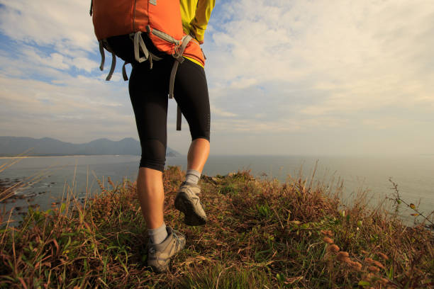 istock successful hiker walking on seaside mountain peak 667774858