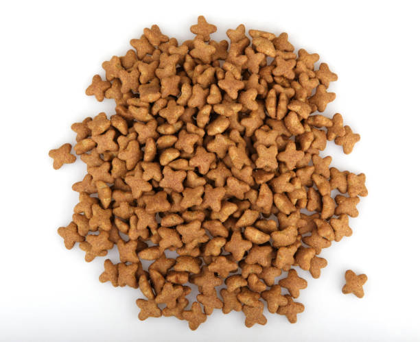 istock dog food 667776838
