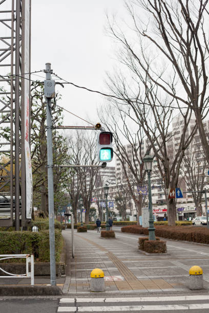 istock Japanese pedestrian crossing light 667782264