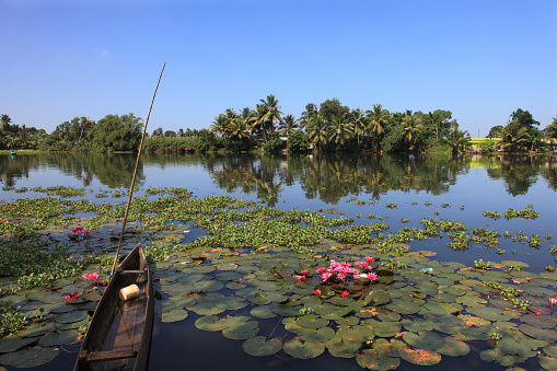 Small wooden boats docked in the beautiful backwaters of Kerala