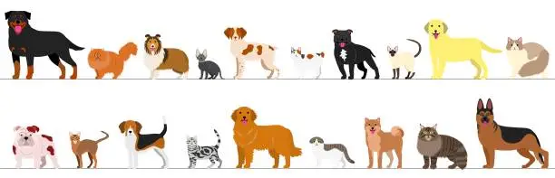 Vector illustration of Border of dogs and cats