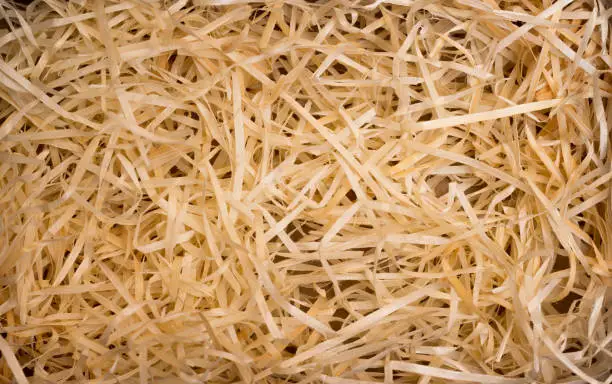 Wood background. Closeup of wooden shavings for packing.