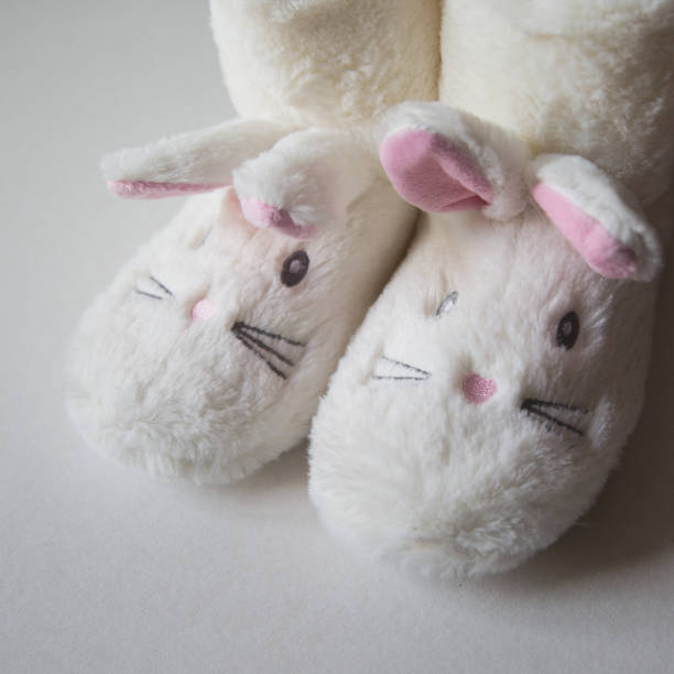 istock Soft brown color slippers on carpet 667791556