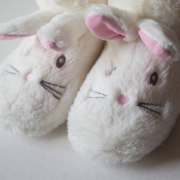 istock Soft brown color slippers on carpet 667791680