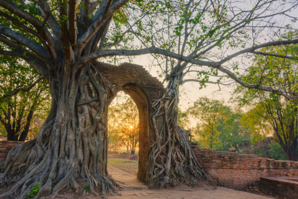 istock the Unseen Thailand old temple, Wat prhra ngam 667797790