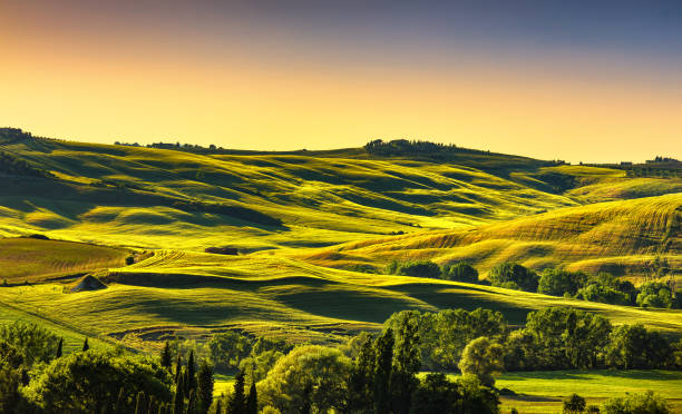 istock Tuscany countryside landscape panorama at sunset, rolling hills, fields, meadow. Italy 667802952