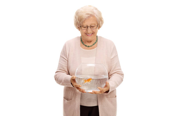 istock Mature woman holding a bowl with a goldfish 667816162