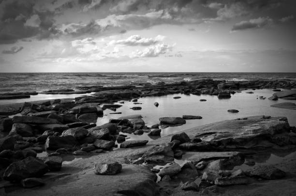 istock background of beach and sea, black and white image 667817274