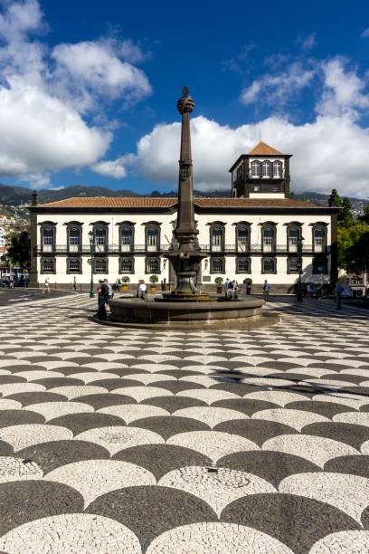 istock Town hall, Funchal, Madeira 667825034