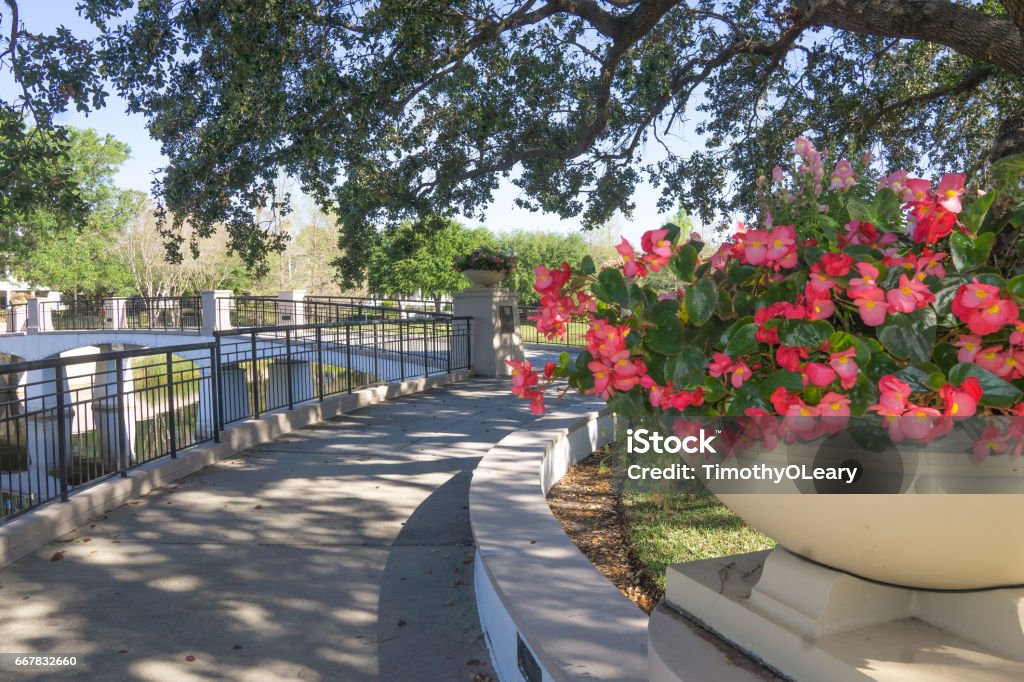 올랜도 플로리다 볼드윈 파크 - 로열티 프리 올랜도-플로리다 스톡 사진 올랜도 플로리다 볼드윈 파크 - 로열티 프리 올랜도-플로리다 스톡 사진