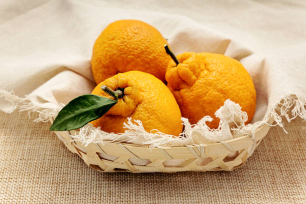 istock ugly tangerine on a white background 667835756