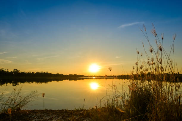 istock sunset on the lake landscape 667835766