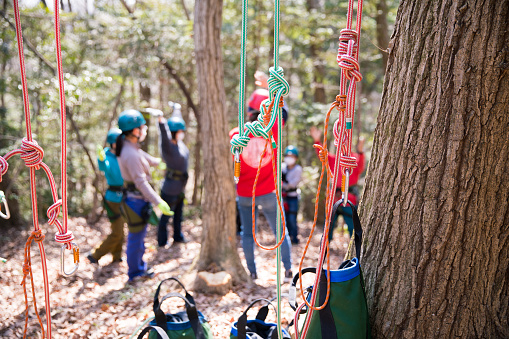 Group of people stretching before climing tree with ropes