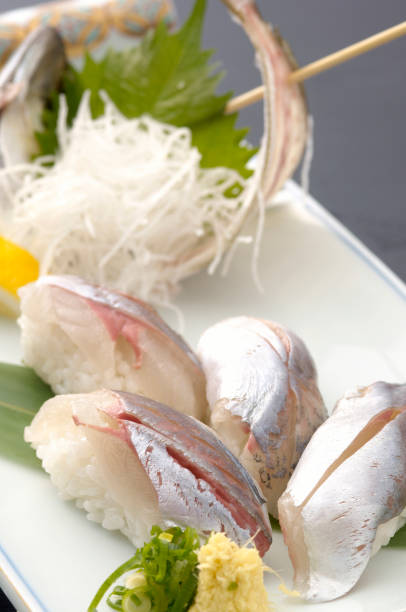 istock Horse mackerel nigiri 667837786