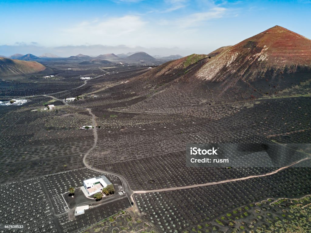 Aerial panorama of Wine valley of La Geria, Lanzarote, Canary islands, Spain Wine Stock Photo