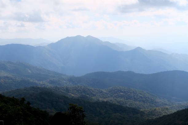 istock sun shining on the forest on the mountain top 667841732