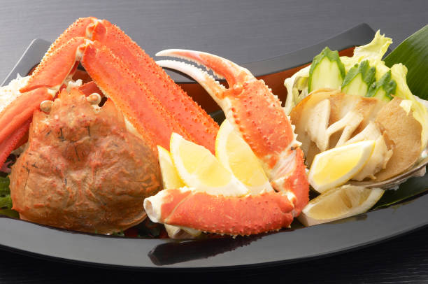 istock Snow crab Chionoecetes opilio 667842486
