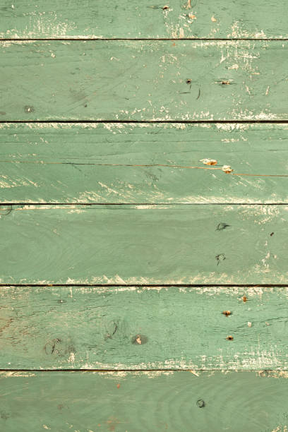 brancas e verdes retrô pranchas de madeira - wood grain flash - fotografias e filmes do acervo