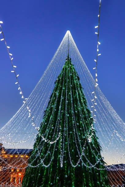 istock Christmas tree with garlands installed in Vilnius of Lithuania 667858076