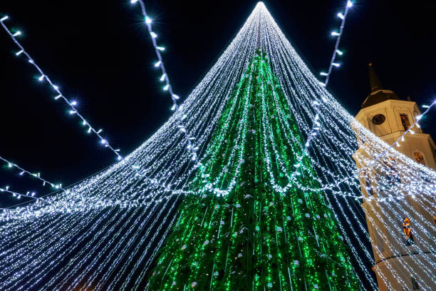 istock Christmas tree and Cathedral belfry in Vilnius in Lithuania 667858220