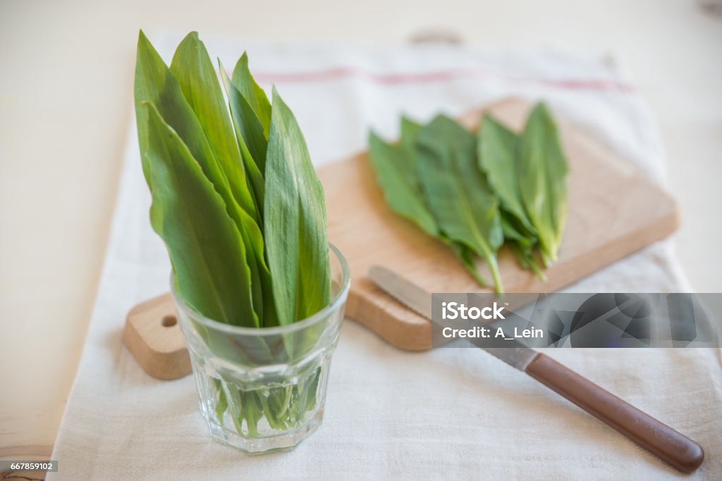 Wild Garlic Austria Stock Photo