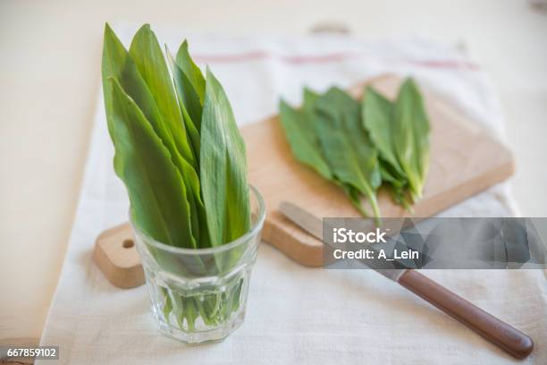 Wild Garlic Stock Photo - Download Image Now - Austria, Horizontal, No People