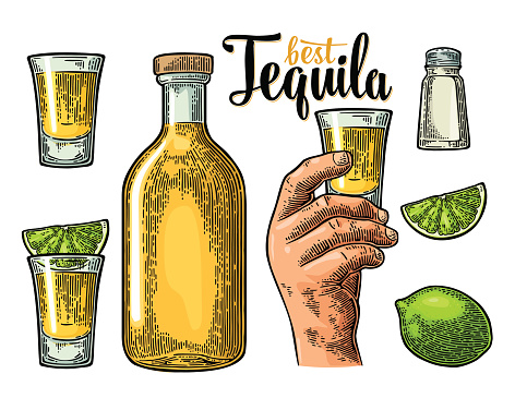 Set for tequila. Hand holding and clinking glass, bottle, salt, lime whole and slice. Vintage color vector engraving illustration for poster, invitation to party. Isolated on white background