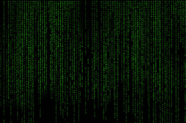 Coding Tall Image 790+ Tall Code Stock Illustrations, Royalty-Free Vector Graphics & Clip ...
