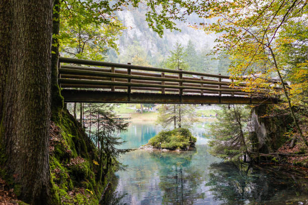 istock wood bridge over the green water lake 667910872