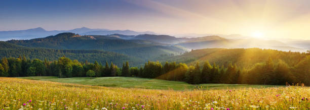istock Beautiful sunny day is in mountain landscape. 667918598
