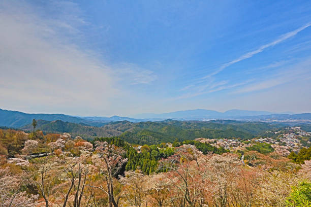 istock Yoshinoyama, Nara, Japan 667919052