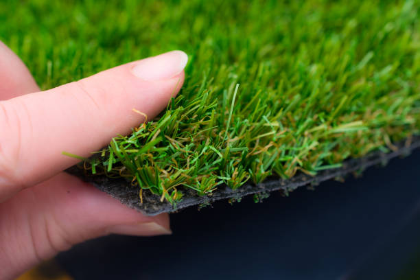 istock Woman holding Artificial grass  in her hand 667926312