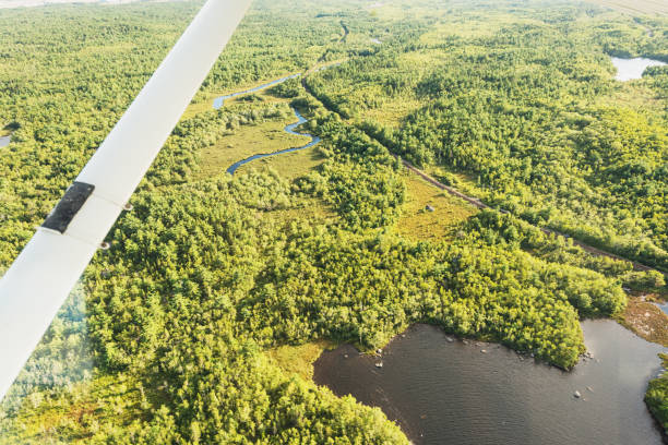 istock Lake Aerial View 667926566