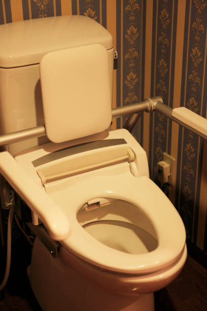 istock Toilet for care 667926682